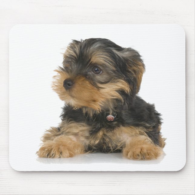 Tapis De Souris Yorkshire Terrier Mousepad (Devant)