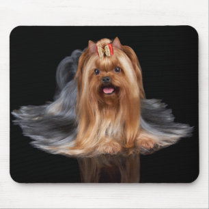 Tapis De Souris Yorkshire Terrier sur le noir