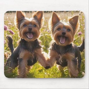 Tapis De Souris Yorkshire Terriers Jouer dans l'herbe