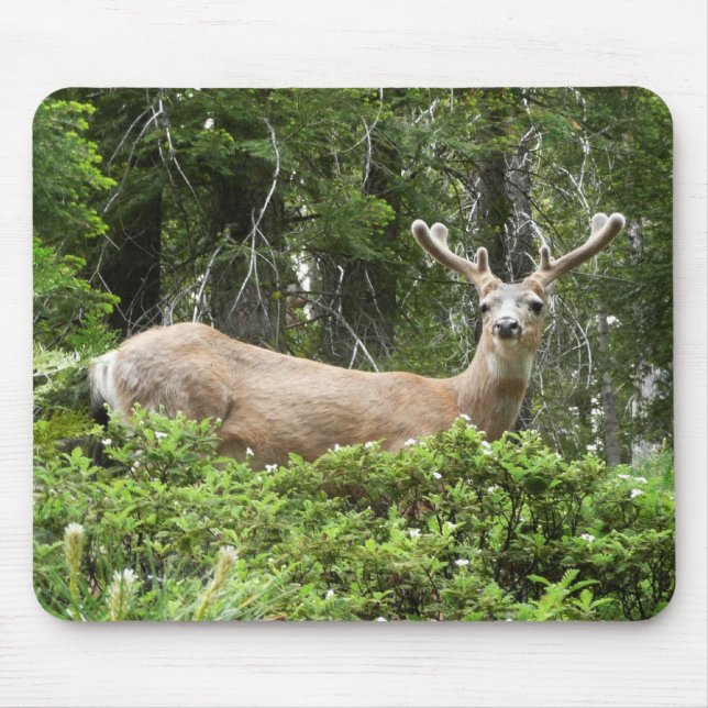 Tapis De Souris Yosemite Deer Nature Photographie (Devant)