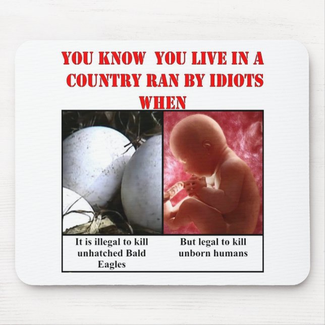 TAPIS DE SOURIS YOU KNOW YOU LIVE IN COUNTRY RAN BY IDIOTS (Devant)