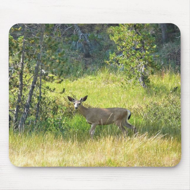 Tapis De Souris Young Buck in Yosemite, CA (Devant)