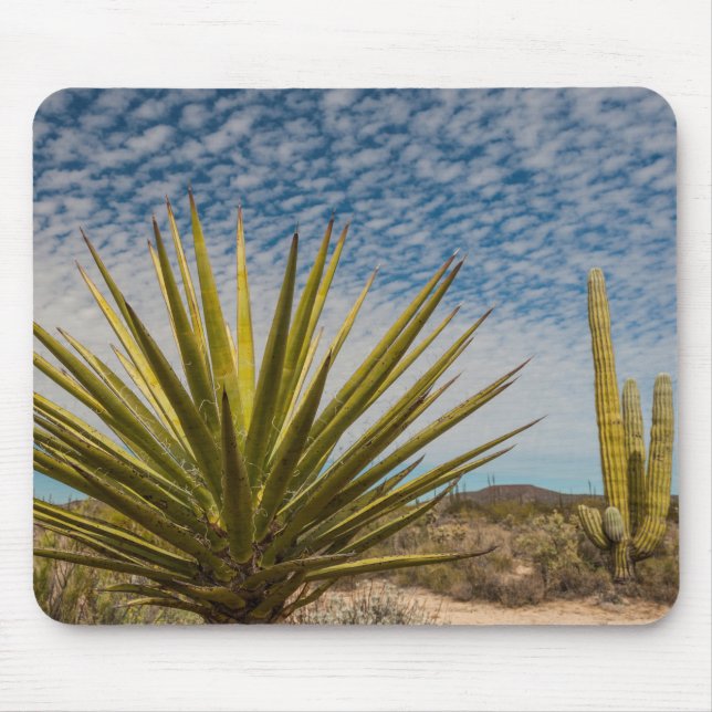 Tapis De Souris Yucca dans le désert, Mexique (Devant)