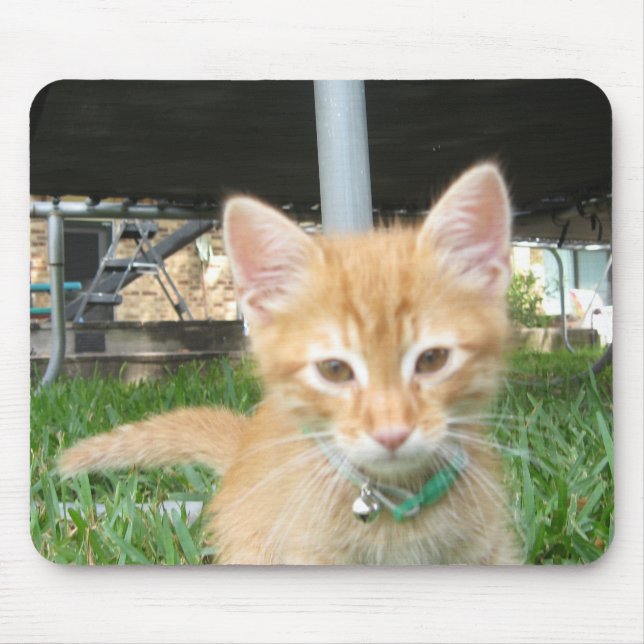 Tapis De Souris Zaccheus le chaton (Devant)