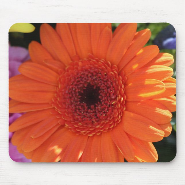 Tapis De Souris Zinnia (Devant)