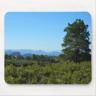 Tapis De Souris Zion Ponderosa