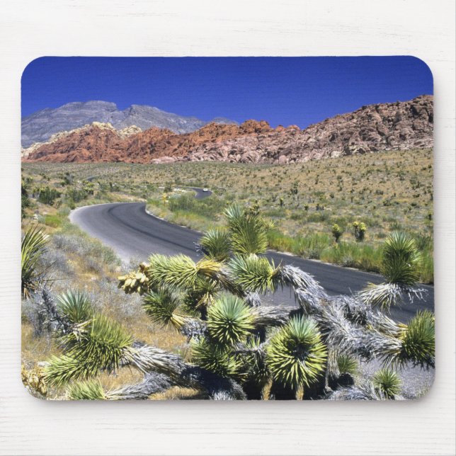 Tapis De Souris Zone nationale de conservation de Red Rock Canyon, (Devant)