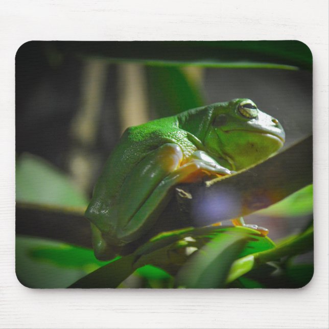 Tapis De Souris Zoo de Sydney - Grenouille d'arbre vert (Devant)