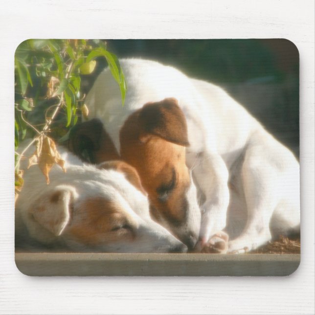 Tapis De Souris Zzzz contagieux (Devant)