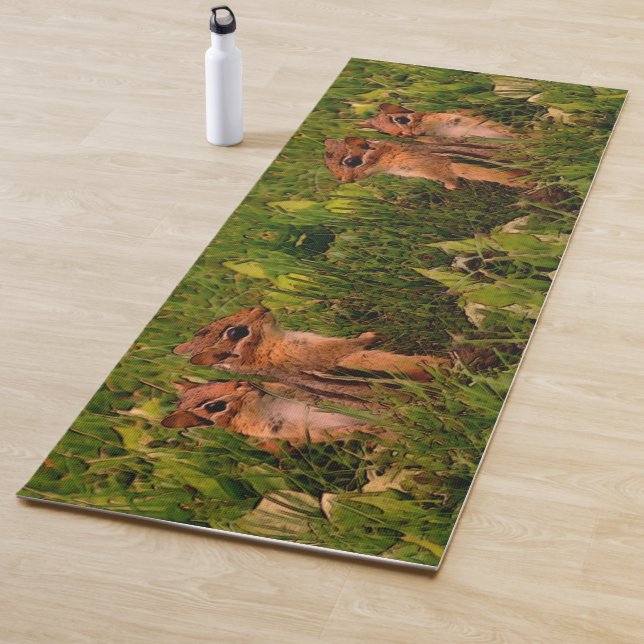 Tapis De Yoga Baby Chipmunks Art animal Abstrait (En situation)