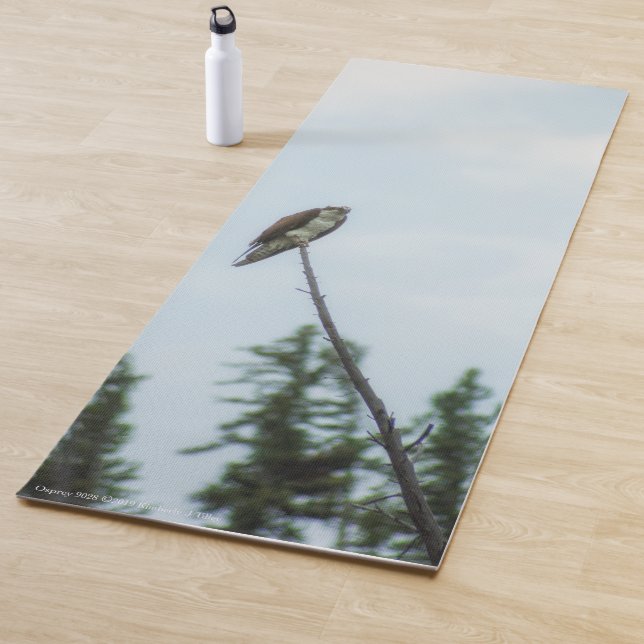 Tapis De Yoga Balbuzard pêcheur 9028 (En situation)
