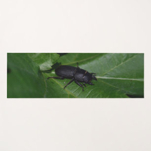 Tapis De Yoga Dorcus parallelipipedus, le moindre dendroctone du