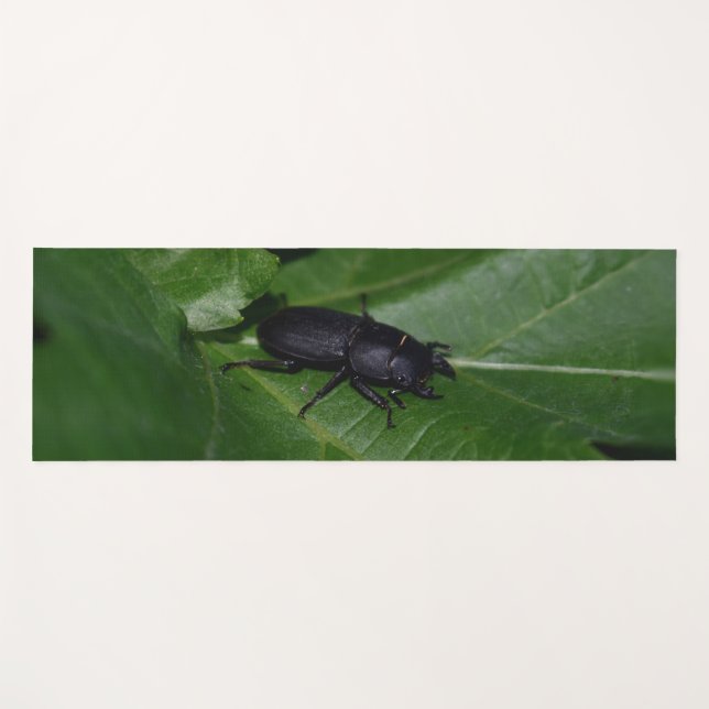 Tapis De Yoga Dorcus parallelipipedus, le moindre dendroctone du (Devant (Horizontal))