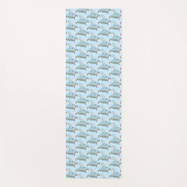 Tapis De Yoga Glass Slipper (Devant)