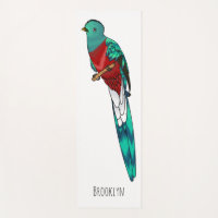 Illustration d'oiseau de quetzal resplendissant