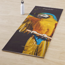 La faune des oiseaux jaunes Joli Macaw