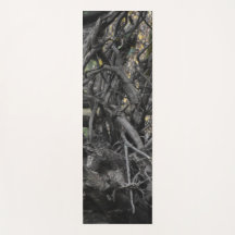 L'amour d'un arbre tombé