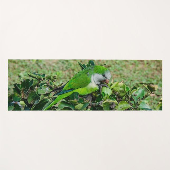 Tapis De Yoga Perroquet vert (Devant (Horizontal))