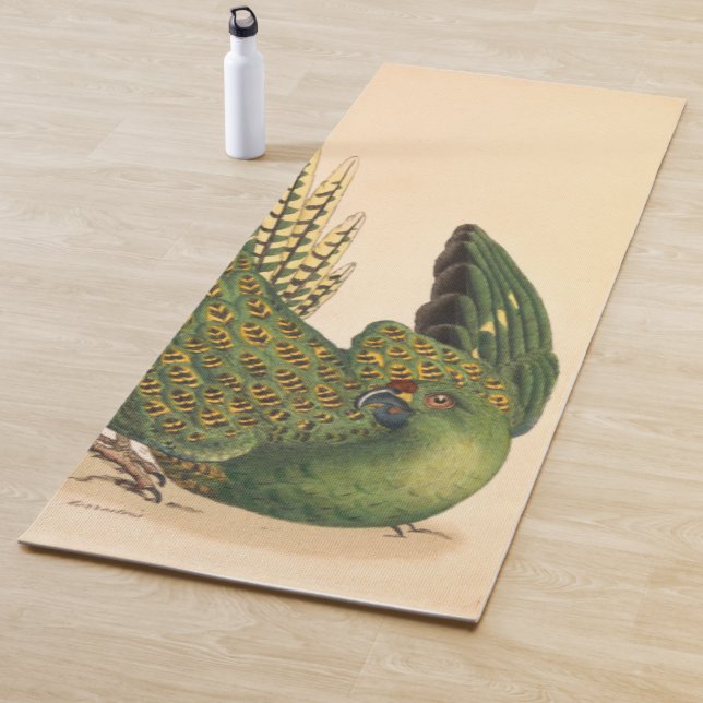 Tapis De Yoga Perruche terrestre de James Sowerby, Psittacus ter (En situation)
