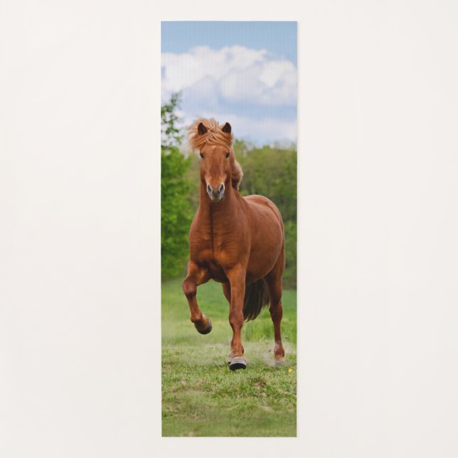 Tapis De Yoga Pony islandais à Tölt Funny Photo Les amateurs de  (Devant)