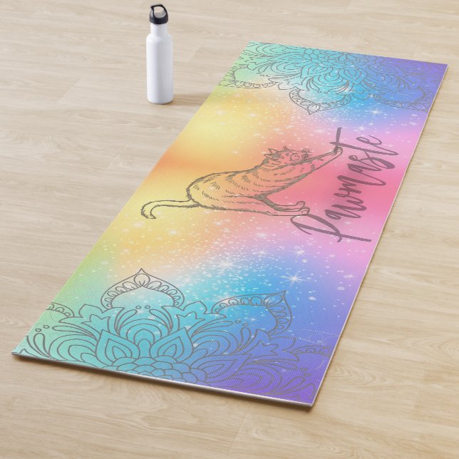 Tapis de yoga pour chat (En situation)