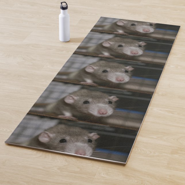 Tapis De Yoga Rat curieux (En situation)
