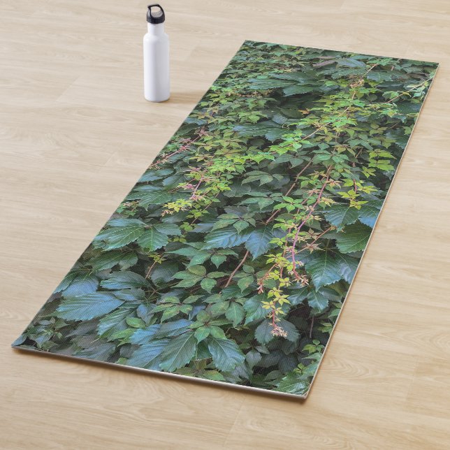 Tapis De Yoga Serene Green Ivy Wall Suspendre Vins Plantes Feuil (En situation)