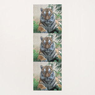 Tapis De Yoga Tiger_20171103_by_JAMFoto