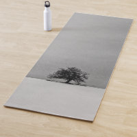 Un arbre solitaire en noir et blanc