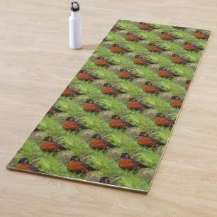 Tapis De Yoga Un Curieux Robin Américain