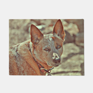Tapis rouge de Heller de boomer