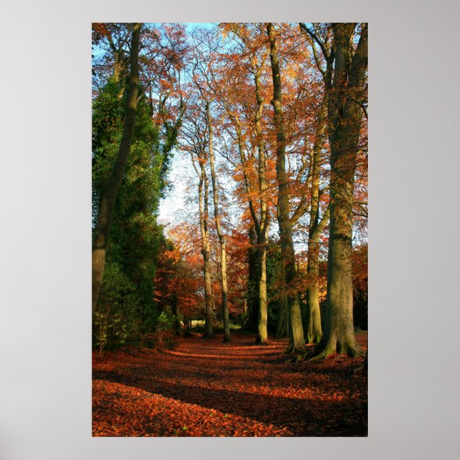 Tapis rouge toile et affiche imprimé (Devant)