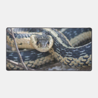 Tapis serpent