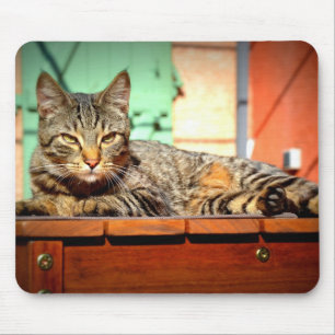 Tapis souris chat tigré sur une table de jardin