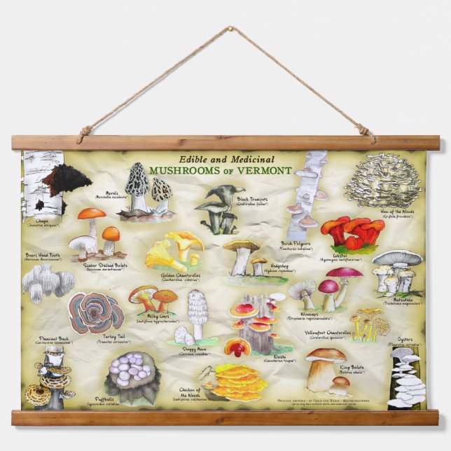 Tapisserie Champignons du Vermont (Devant)