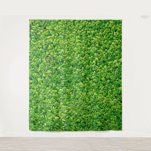 Tapisserie de fond de photo Trèfle Shamrock