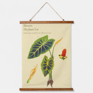 Tapisserie murale botanique Monstera Elephant Ear