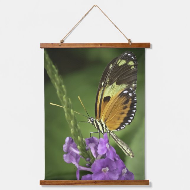 Tapisserie murale papillon Tigerwing (Recto)