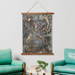 Tapisserie Suspendue Academia Noire Haeckel Impression Vintage Grenouil