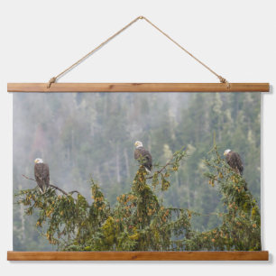 Tapisserie Suspendue Aigles chauds Tongass National Forest Alaska