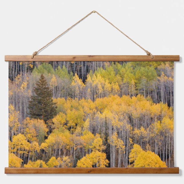 Tapisserie Suspendue Arbres d'Aspen | White River National Forest (Devant)