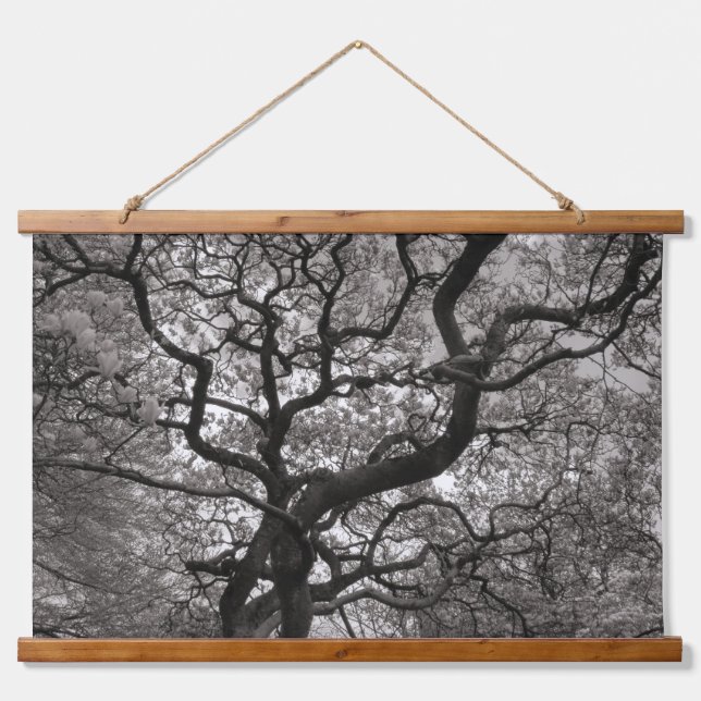 Tapisserie Suspendue Arbres de Magnolia en fleurs 03 (Devant)