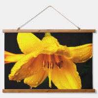 Arrosage sur Lily Jaune