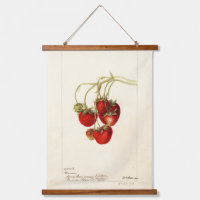 Art de dessin de fraises vintages