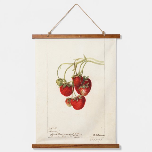 Tapisserie Suspendue Art de dessin de fraises vintages (Recto)