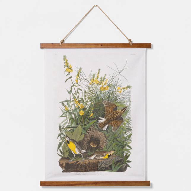 Tapisserie Suspendue Audubon Meadowlark Botank Imprimer (Recto)