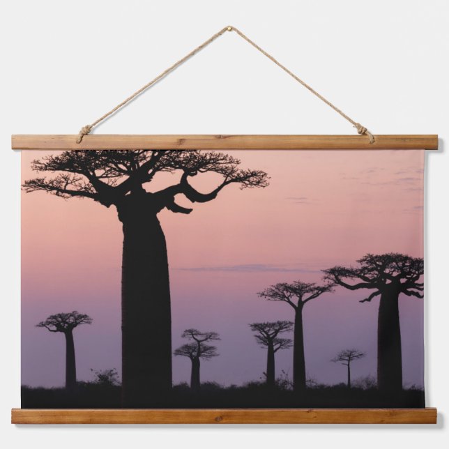 Tapisserie Suspendue Baobab Alley', Madagascar, Morondava, Africa, (Devant)