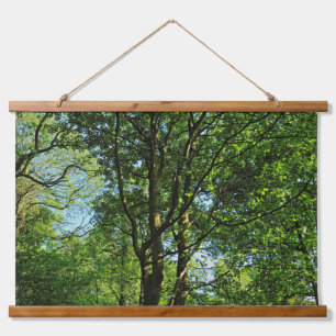 Tapisserie Suspendue Blackweir Woods, Bute Park, Cardiff Wales