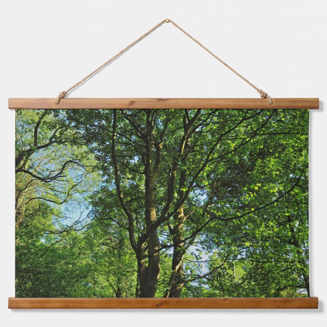 Tapisserie Suspendue Blackweir Woods, Bute Park, Cardiff Wales (Devant)