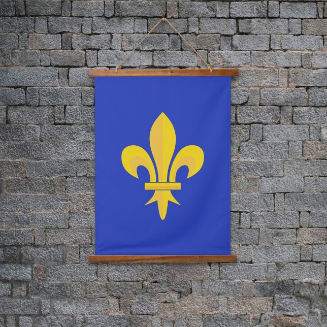 Tapisserie suspendue Bleu Roi avec Fleur de Lys Or (Fleur de Lis on Royal Blue Hanging Tapestry)